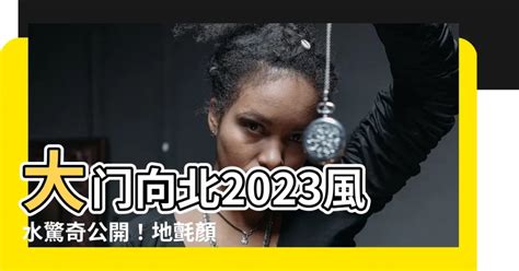 2023 大門地氈顏色|【2023 大門地氈顏色】兔年財運翻倍！2023大門地氈顏色這樣。